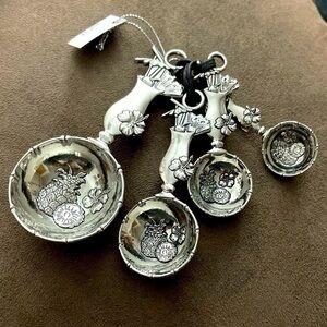 Ganz Studio 101 4-Piece Measuring Spoon, Pina Colada